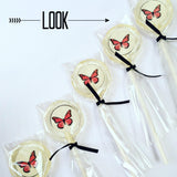 Butterfly Print Lollipops - Willow & Boo